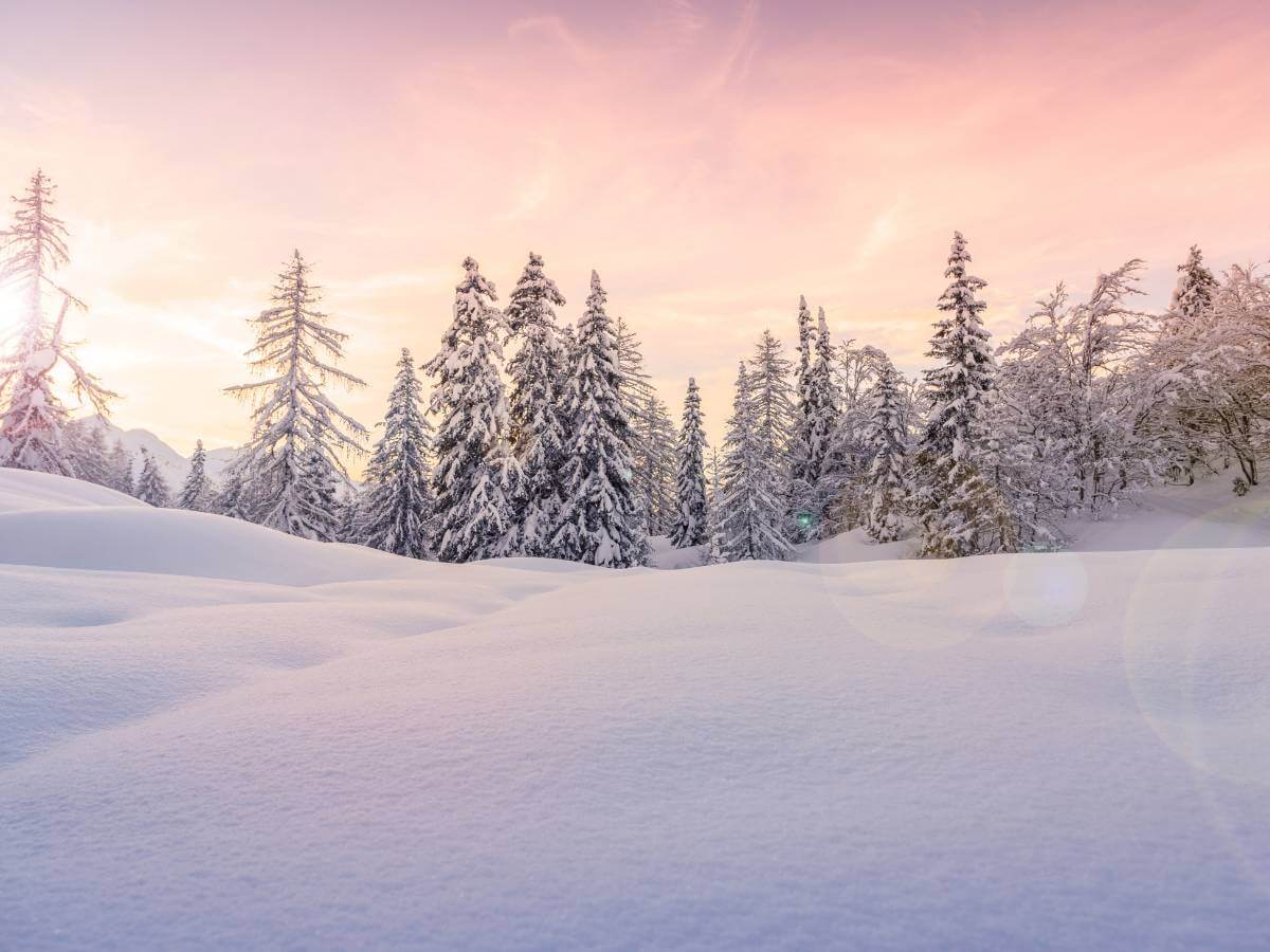 How to Make Your Building's Solar Energy System More Productive in Winter