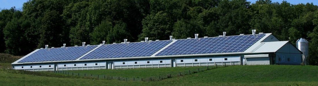 El Rol de la Energía Solar en la Transición Energética de Texas - ORIUS SOLAR